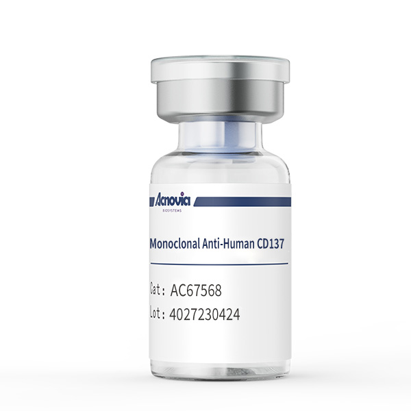 anti-CD137（AC67568）